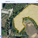 써니발전소 이미지