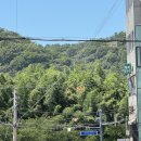 선비세탁소 | [울산 태화강 맛집] 훈이식당 | 솔직후기 | 태화강국가정원맛집