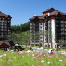 풀베르데 이미지