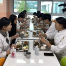 세종한우 이미지