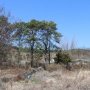 점동초안평분교장 이미지