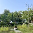 충주휴게소 화장실(양평방향) | 중부내륙고속도로 충주휴게소(양평방향) 간식 충주사과빵 후기