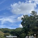 [청주]청주동물원/유퀴즈사자바람이/입장권할인