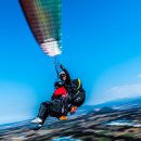 푸른솔목장 이미지