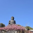 남미륵사 이미지