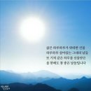 좋은날치과기공소 이미지