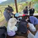 고성군 11 이미지