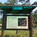 포도원 민박 이미지