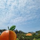 순환로 214번길 이미지