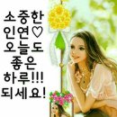 임지현 월북 이미지