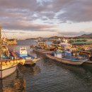 하늘과 바다사이 이미지