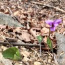 백조약수터 이미지