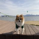 스마트동물병원(병점점) 이미지
