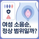 변이(미디어) | 여성 소음순, 정상 범위일까? 모양·비대증·수술 전 꼭 알아야 할 점