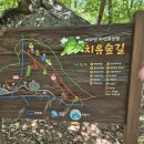 경기도 의왕 아이랑 _ 바라산 자연휴양림 유아숲체험원