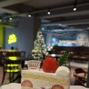 카페 디아즈 이미지