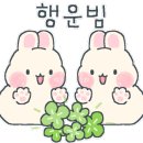 24시무인애견용품&펫간식샵