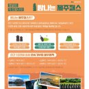 제주 빙새기 이미지