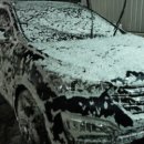 뉴그린셀프세차타운 이미지