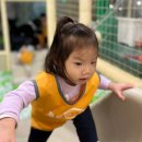 팡팡포레키즈카페 이미지