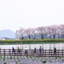 치매예방 기체조 | 엑티브 시니어의 방구석 탈출기 출간 후기