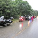 저수령 목장 Daum카페