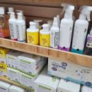 더데일리펫샵 이미지