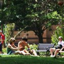 도심속의 평화 이미지