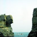 금목조경