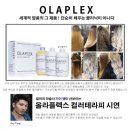 애플헤어
