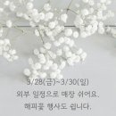 살롱드꽃플라워스튜디오