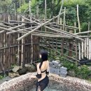 허브테마펜션 | 파주 속 발리 🏝️🏡 "중휴림" 독채 풀빌라펜션 숙소 추천 (풀빌라수영장/개별야외자쿠지•BBQ 이용 후기)
