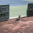 지초한의원 | [직장일기] 오늘도 무사히