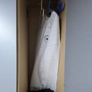 중앙스파월드 이미지