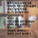 불면의 밤, 마침내 너를 만나다 /고도원 이미지