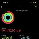 마제하루 네이버블로그