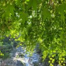 그늘막134 이미지