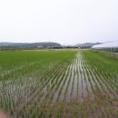 기풍농장 이미지