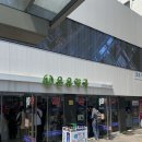 알뜰종합쇼핑 | 유럽 여행 의약품 준비 리스트 & 내돈내산 종로 약국에서 알뜰하게 쇼핑한 후기 + 가격 ✈️💊
