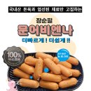 비엔나 이미지