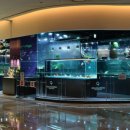 거북이가든 이미지