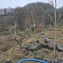 내대리 농장 이미지