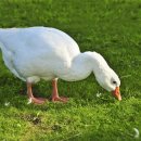 다운펜션 이미지