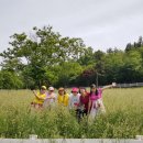 하동목장 이미지