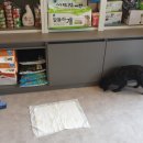 신통방통 동물병원 이미지