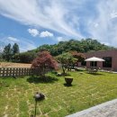 카페누비 이미지