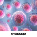 SNU하안과의원 이미지