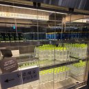 터미널2로 | 스카이허브라운지 인천공항2터미널 동편 이용 후기