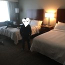 EWR빌딩 | [미국 한달살기13] 메리어트 토론토 투숙 후기(with 토론토 치안, 토론토 차이나타운, 코인 빨래방...