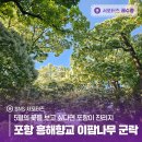 임허사 - 1884 | 5월의 꽃을 보고 싶다면 포항이 진리지 포항 흥해향교 이팝나무 군락